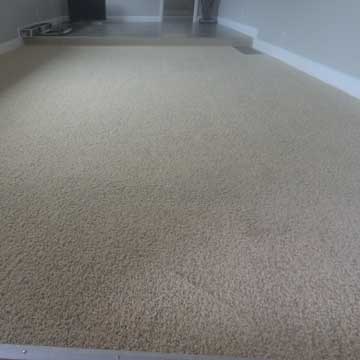 carpet-cleaning-company-near-northern-kentucky