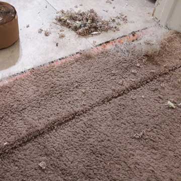 pet-damaged-carpet-repair-northern-kentucky